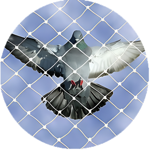 High-Strength UV Light Protection Shields for Windows | AS
								Enterprises Solution | 8051800912 | Vapi, Silvassa